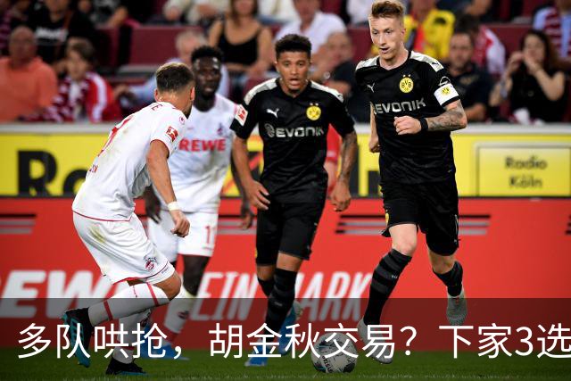 多队哄抢，胡金秋交易？下家3选1，上海热门，转会费或超张镇麟