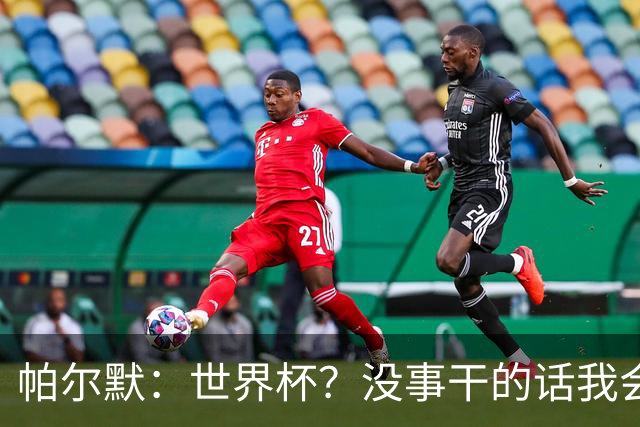 帕尔默：世界杯？没事干的话我会看看，我希望他们能走到最后