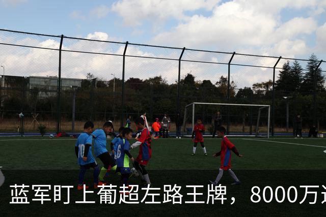 蓝军盯上葡超左路王牌，8000万违约金拦着，切尔西却已经敲门了